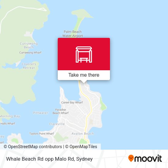 Whale Beach Rd opp Malo Rd map