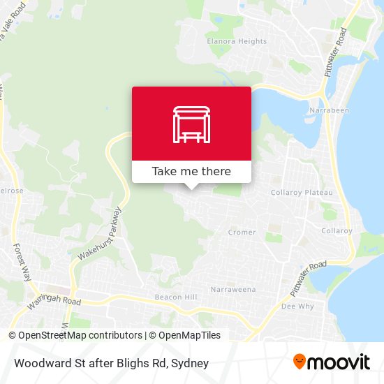 Woodward St after Blighs Rd map