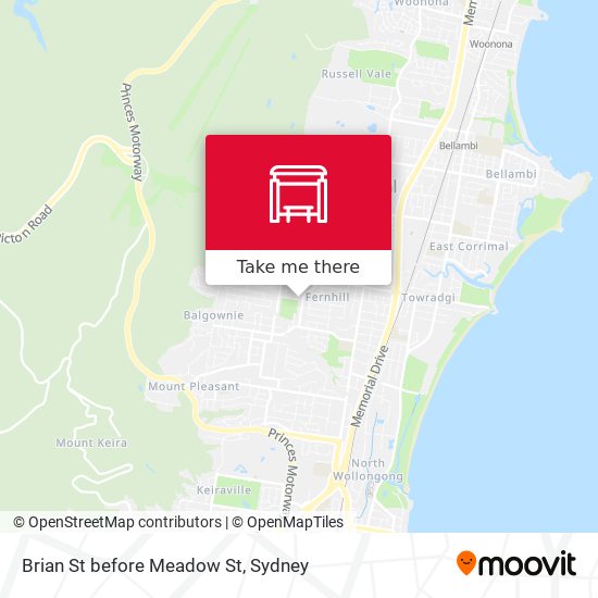 Brian St before Meadow St map