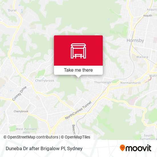 Duneba Dr after Brigalow Pl map