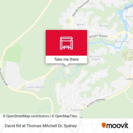 David Rd at Thomas Mitchell Dr map