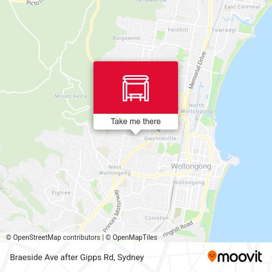 Braeside Ave after Gipps Rd map