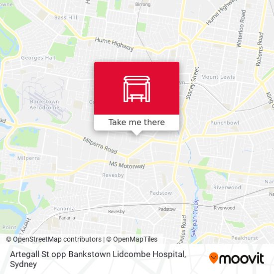 Artegall St opp Bankstown Lidcombe Hospital map