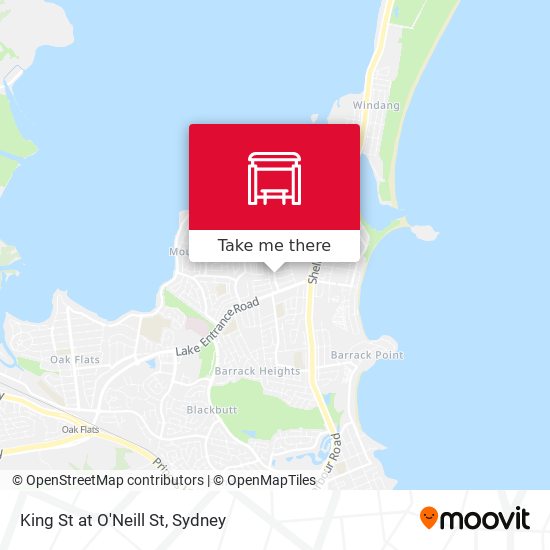 King St at O'Neill St map