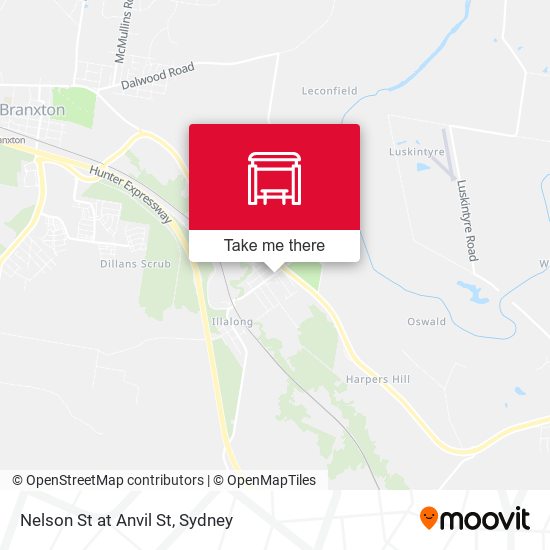 Nelson St at Anvil St map