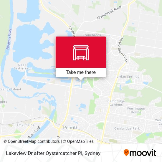 Lakeview Dr after Oystercatcher Pl map