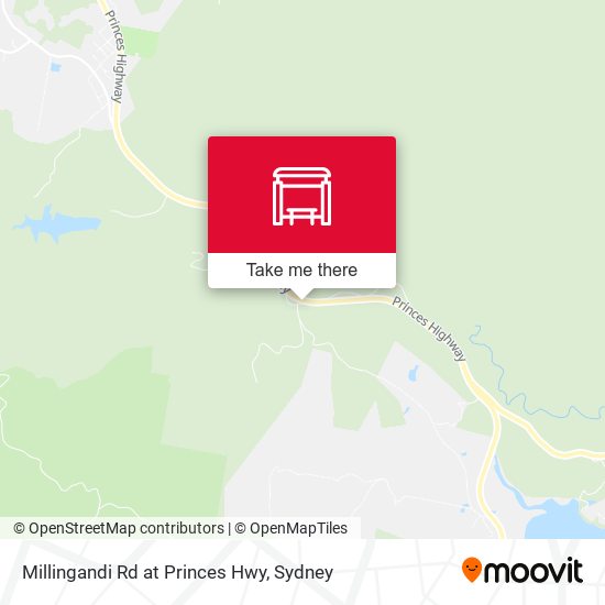 Millingandi Rd at Princes Hwy map