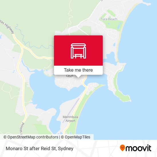 Monaro St after Reid St map