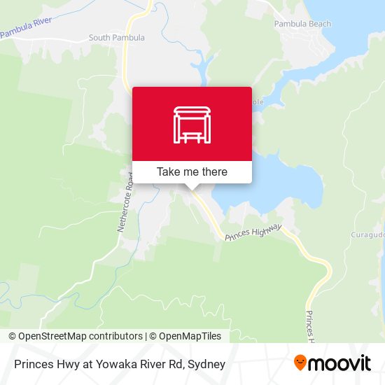 Princes Hwy at Yowaka River Rd map