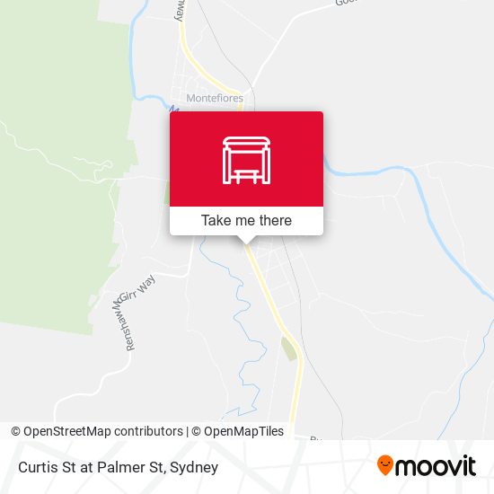 Curtis St at Palmer St map
