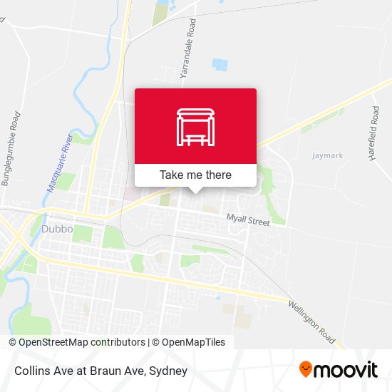 Collins Ave at Braun Ave map