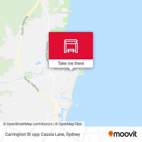 Carrington St opp Cassia Lane map