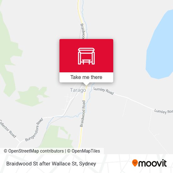Braidwood St after Wallace St map