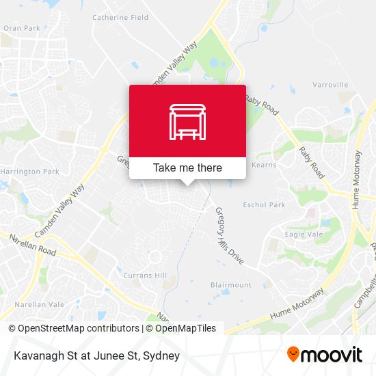 Kavanagh St at Junee St map