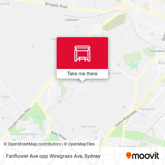 Fanflower Ave opp Wiregrass Ave map