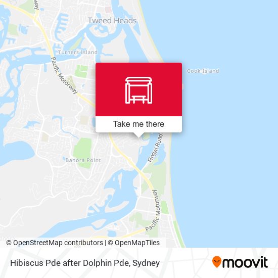 Hibiscus Pde after Dolphin Pde map