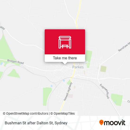 Bushman St after Dalton St map