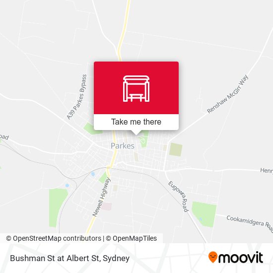 Bushman St at Albert St map