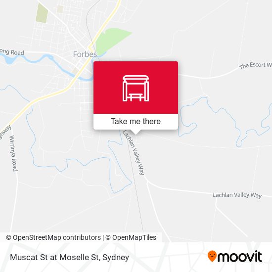 Muscat St at Moselle St map