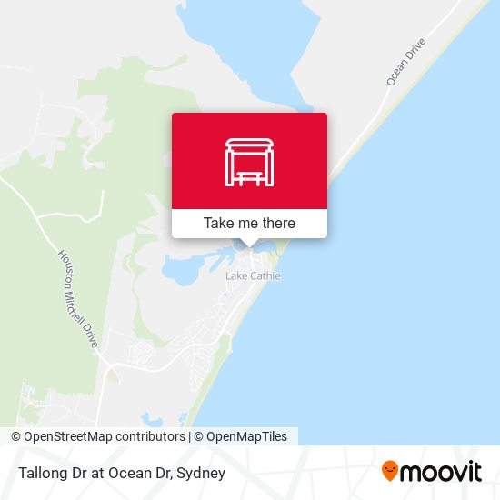 Tallong Dr at Ocean Dr map