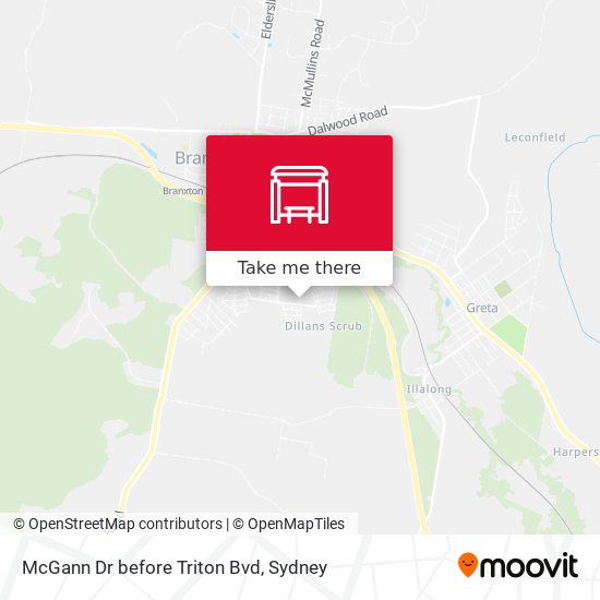 McGann Dr before Triton Bvd map
