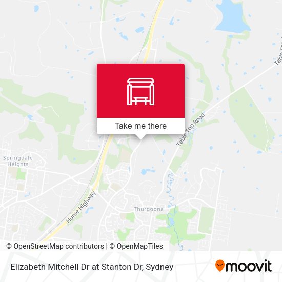 Elizabeth Mitchell Dr at Stanton Dr map