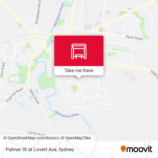 Palmer St at Lovett Ave map