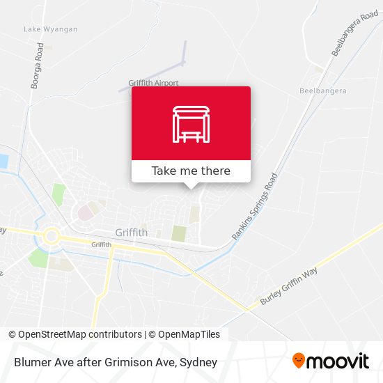 Blumer Ave after Grimison Ave map