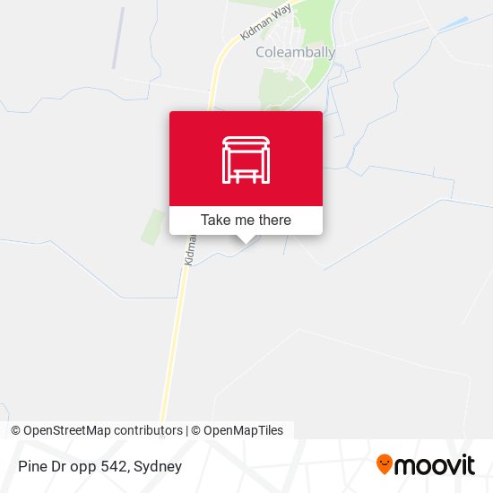 Pine Dr opp 542 map