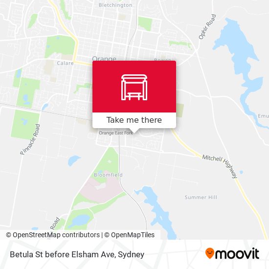 Betula St before Elsham Ave map