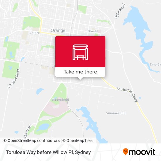 Torulosa Way before Willow Pl map