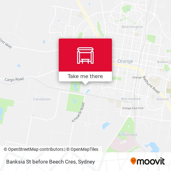 Banksia St before Beech Cres map