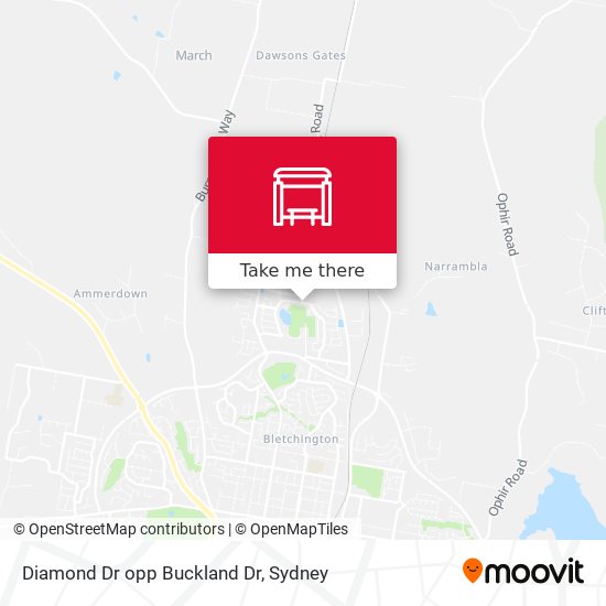 Diamond Dr opp Buckland Dr map