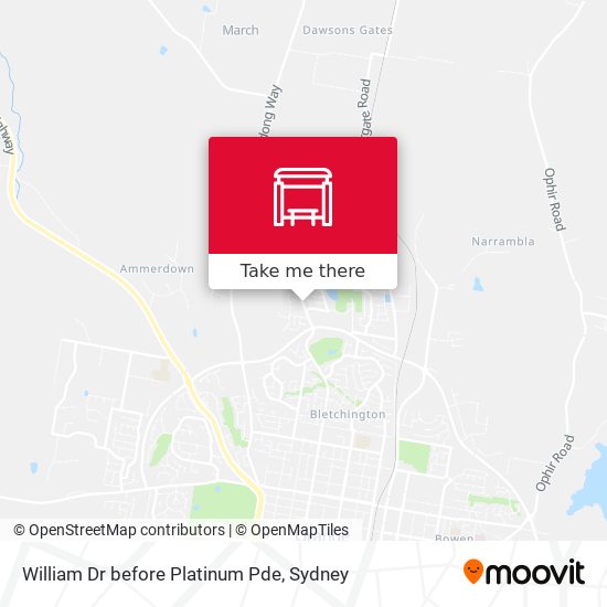 William Dr before Platinum Pde map