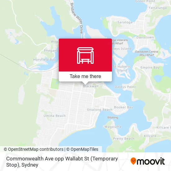Commonwealth Ave opp Wallabt St (Temporary Stop) map