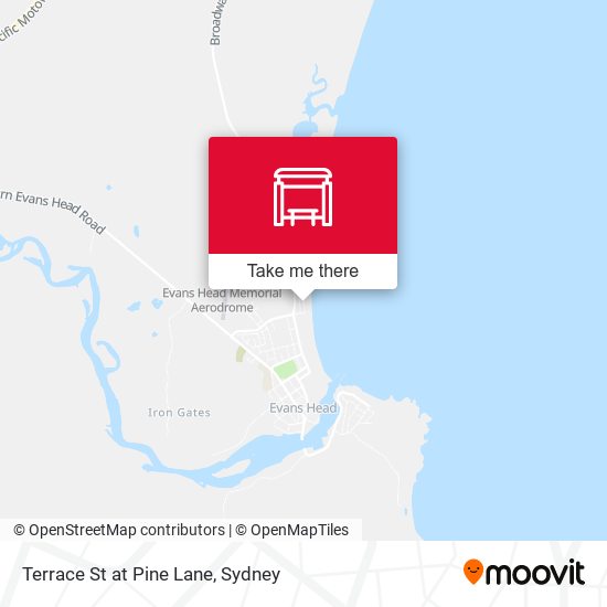 Terrace St at Pine Lane map