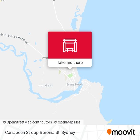 Carrabeen St opp Beronia St map