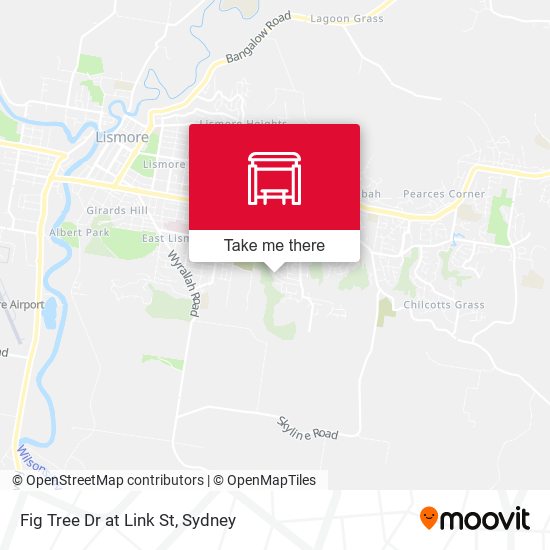 Fig Tree Dr at Link St map