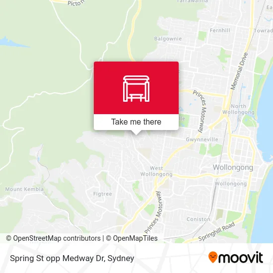 Mapa Spring St opp Medway Dr