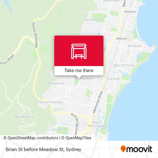 Mapa Brian St before Meadow St