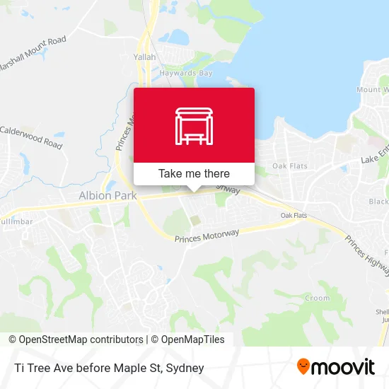 Mapa Ti Tree Ave before Maple St