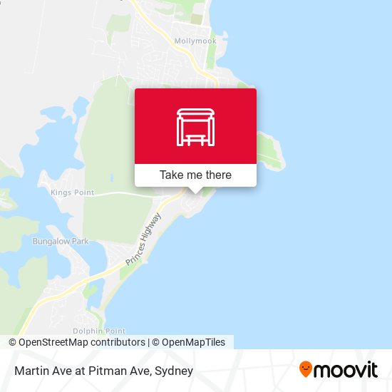 Martin Ave at Pitman Ave map