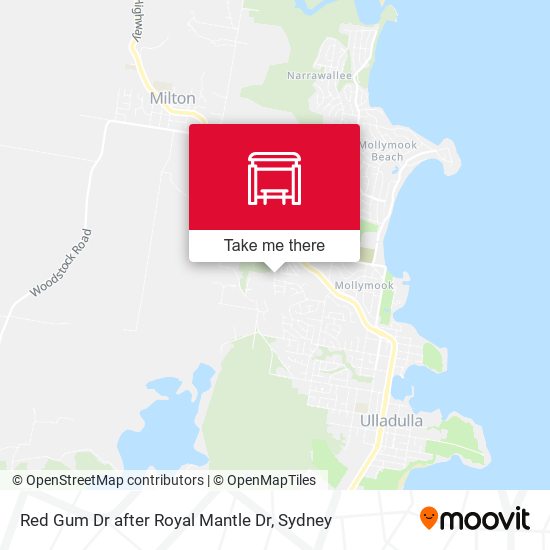 Red Gum Dr after Royal Mantle Dr map