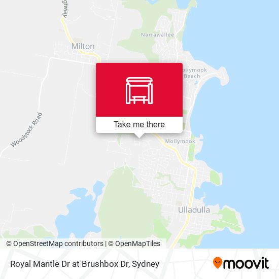 Royal Mantle Dr at Brushbox Dr map