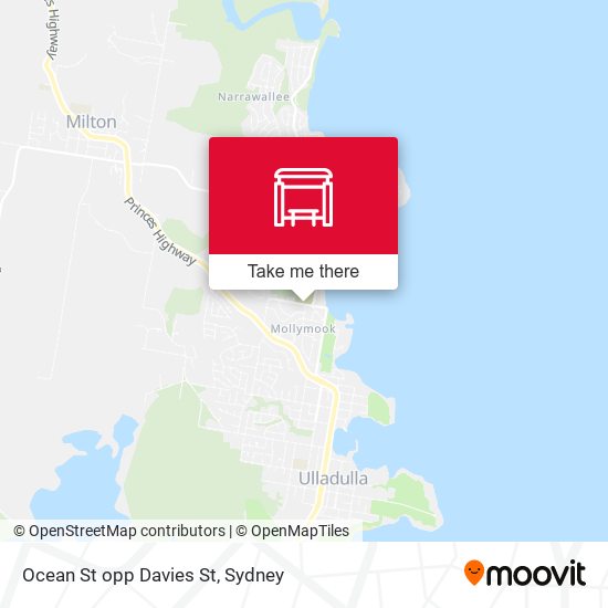 Ocean St opp Davies St map