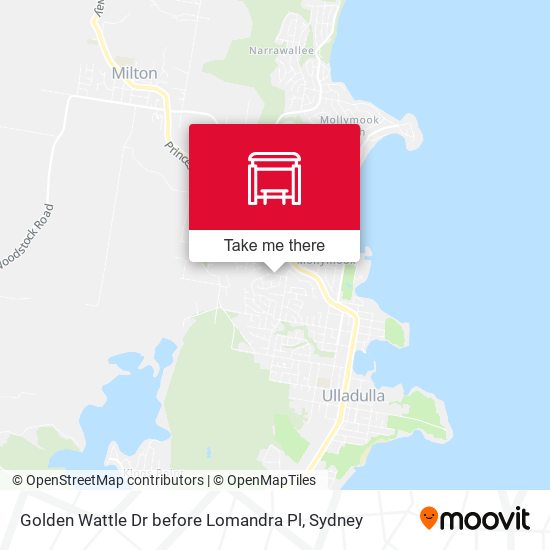 Golden Wattle Dr before Lomandra Pl map