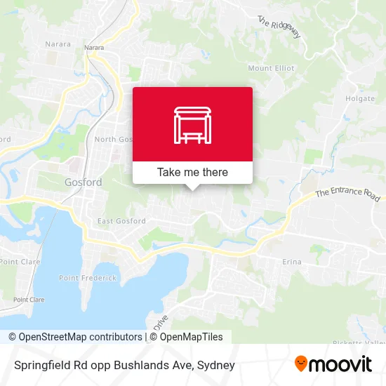 Mapa Springfield Rd opp Bushlands Ave