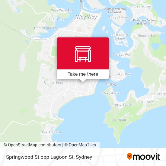 Mapa Springwood St opp Lagoon St