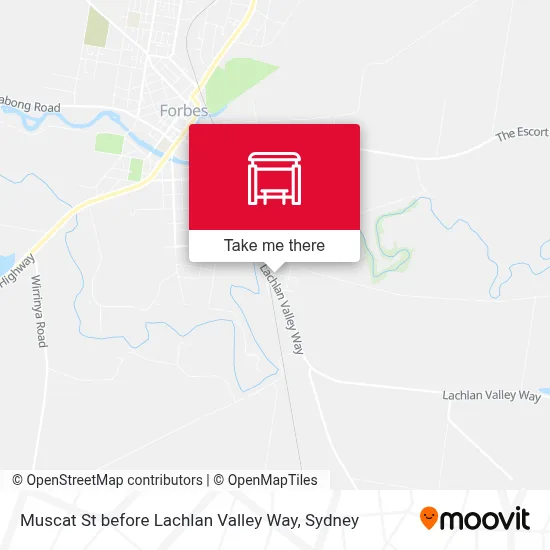 Mapa Muscat St before Lachlan Valley Way