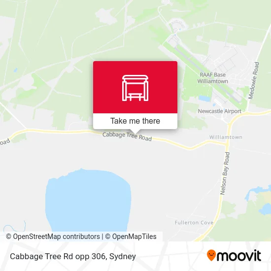Mapa Cabbage Tree Rd opp 306